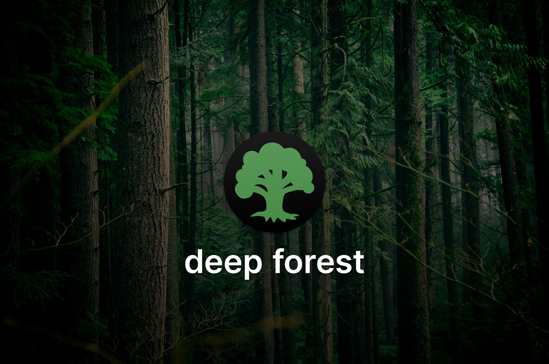 Deep Forest project title card.
